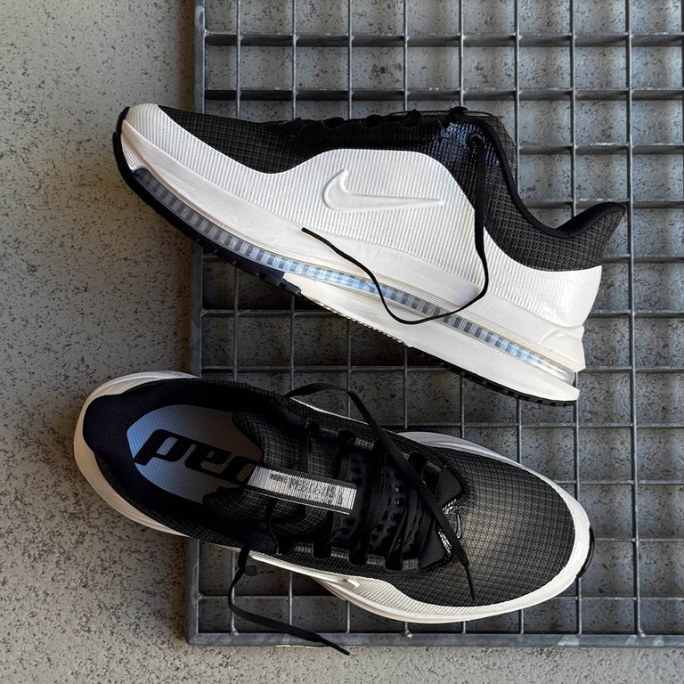 Nike Pegasus Premium SP onfeet