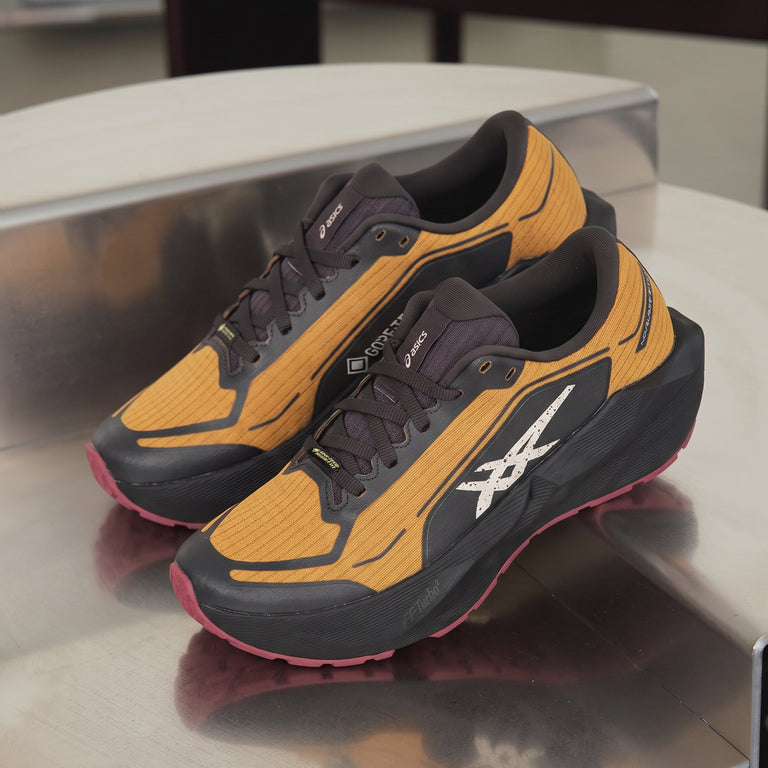 Asics Novablast 6 GTX onfeet
