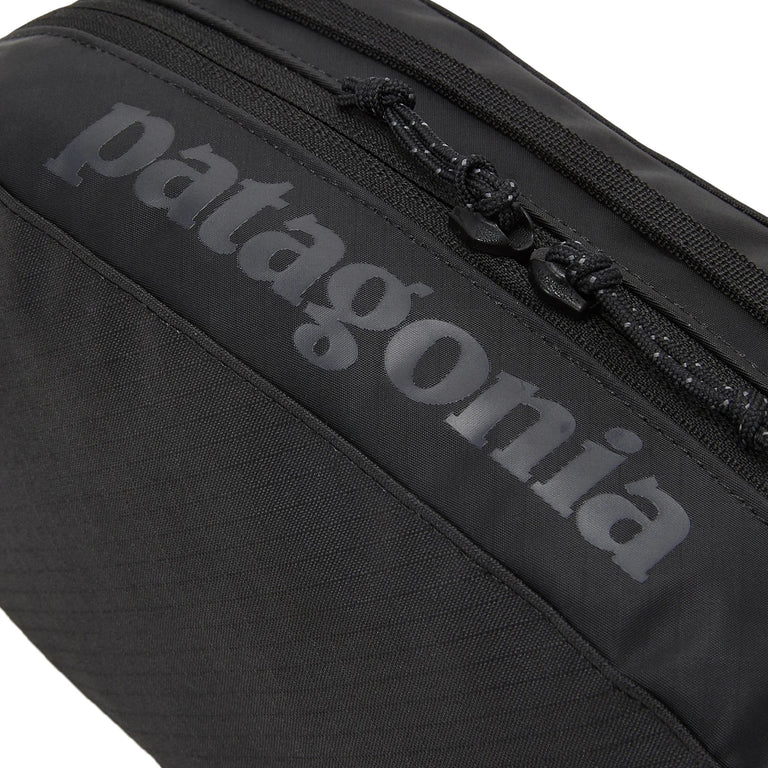 Patagonia Black Hole Cube 3L