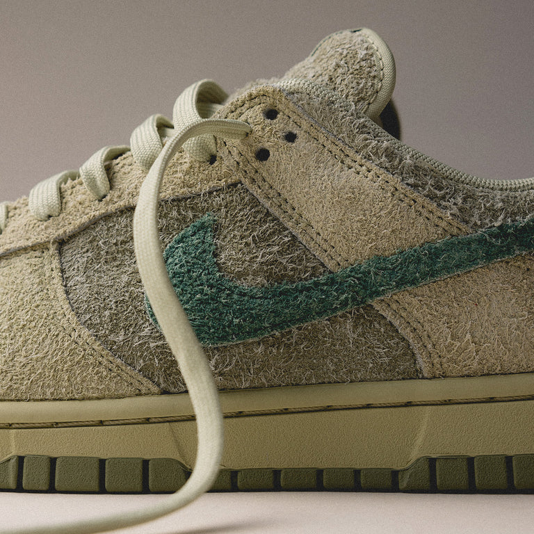 Nike Wmns Dunk Low onfeet
