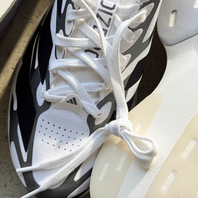 Adidas Adizero Evo SL EXO Sneaker » Buy online now!