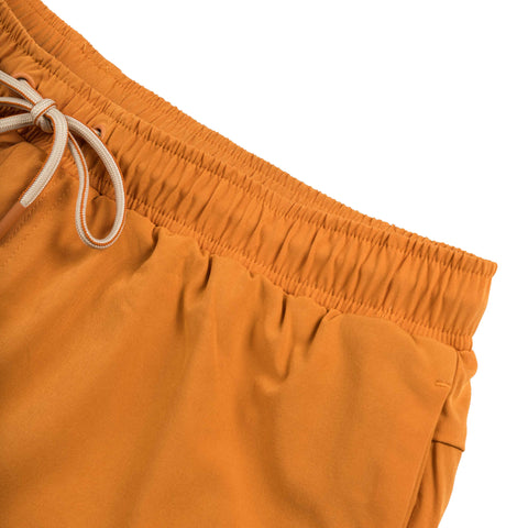 Dime Secret Swim Shorts | Apparel » Buy online now!