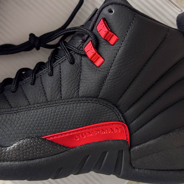 Nike Air Jordan 12 Retro onfeet