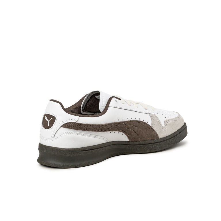Puma Indoor