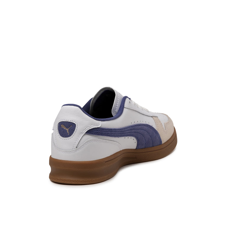 Puma Indoor