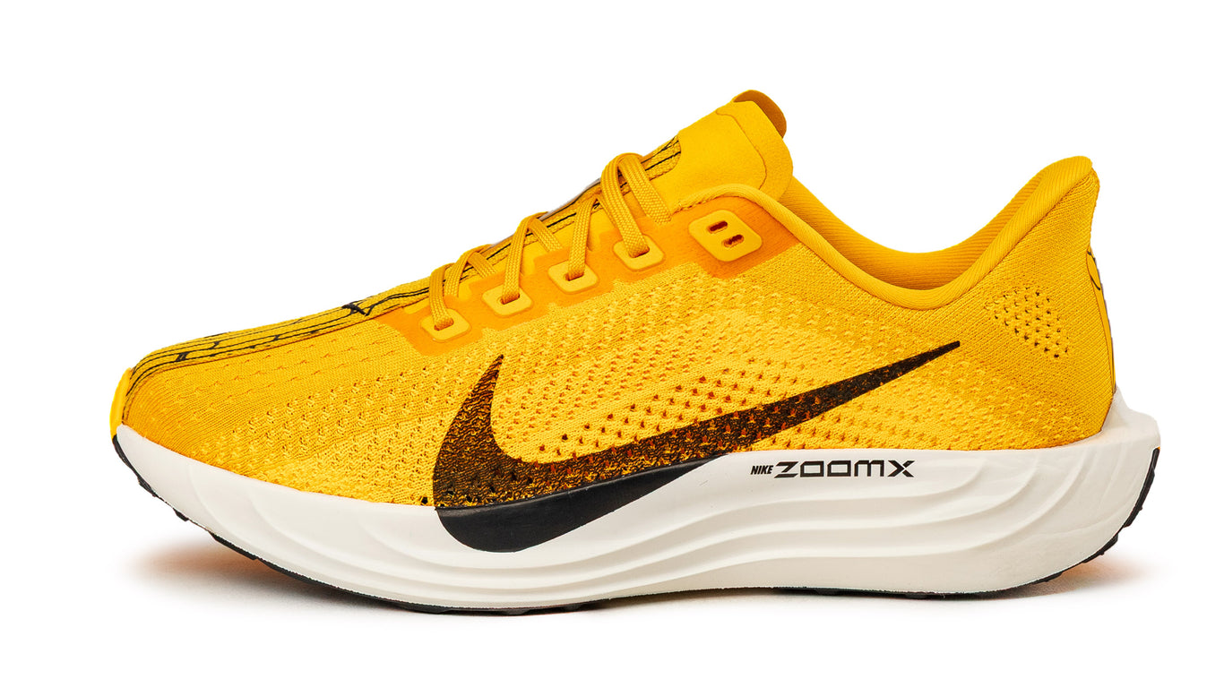 nike pegasus zoomx