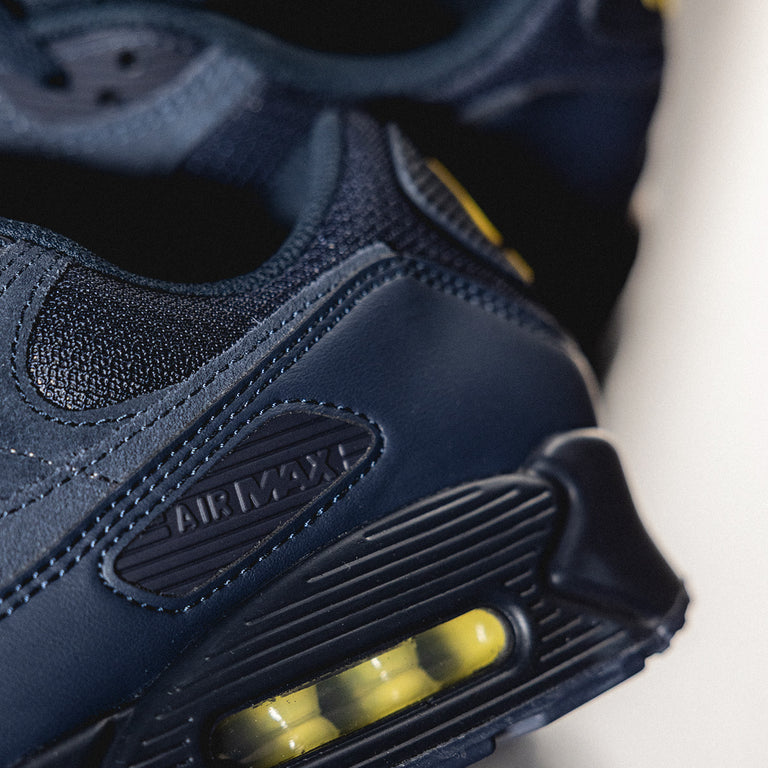 Nike Air Max 90 onfeet