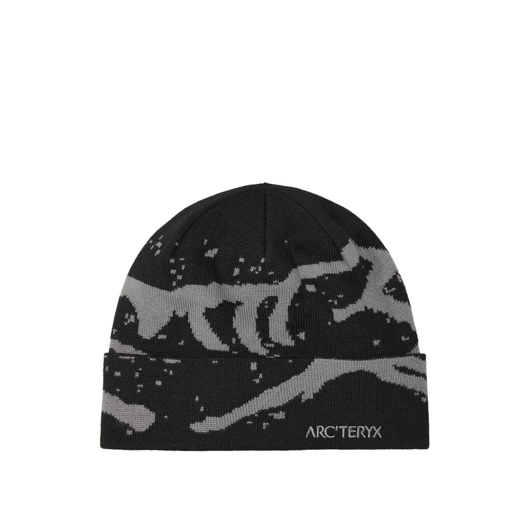 Arcteryx Grotto Toque
