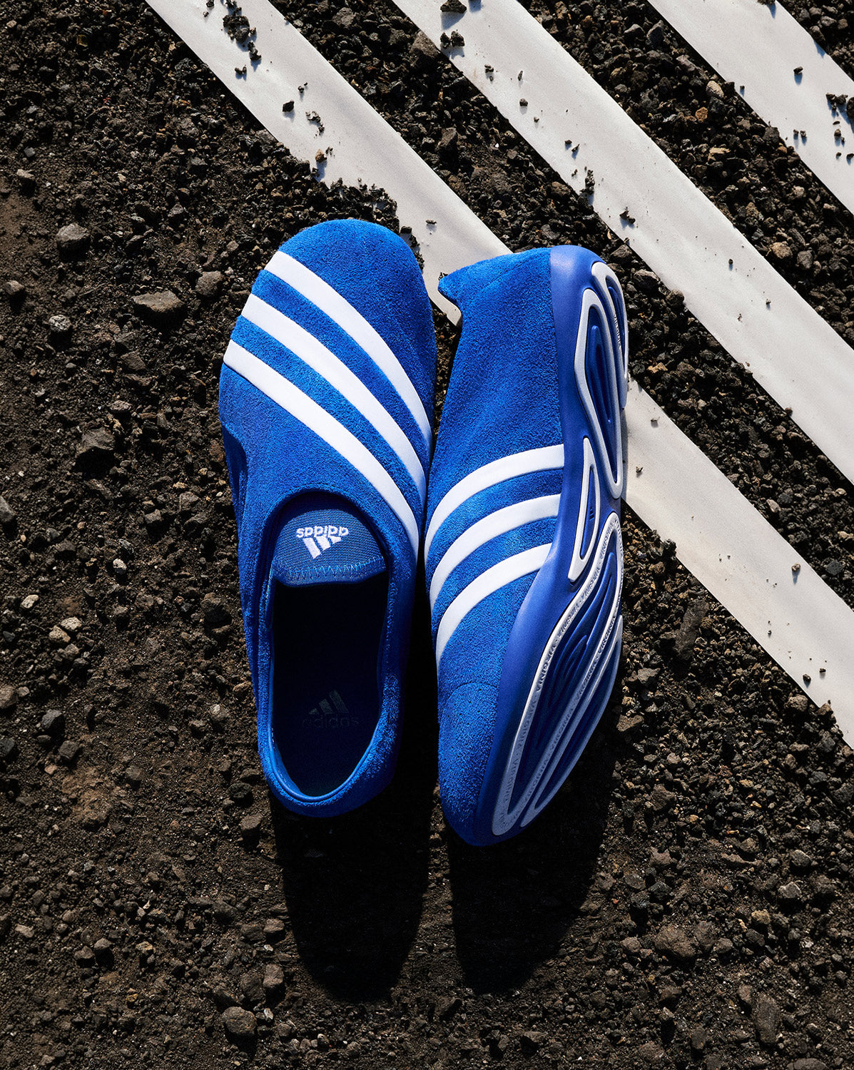 Adidas x Pharrell Williams Vario Flat Earther sneakers » bestel nu