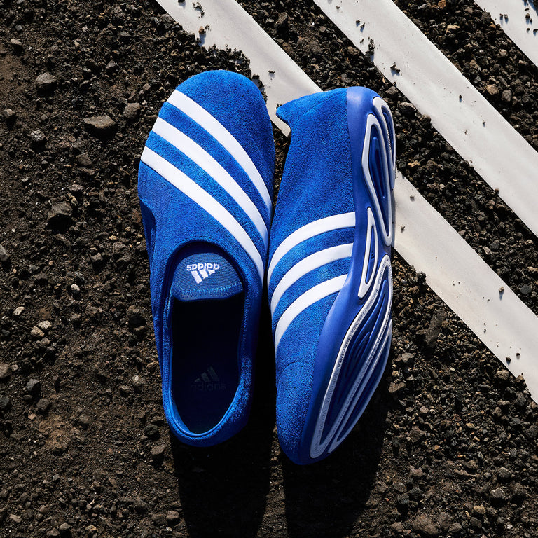 Adidas x Pharrell Williams Vario Flat Earther onfeet