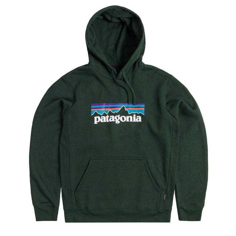 Patagonia hoodie cheap green